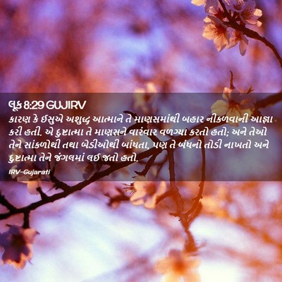 Picture 02 - લૂક 8:29 GUJIRV - કારણ કે ઈસુએ - Bible Verse Picture