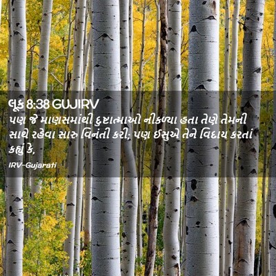 Picture 02 - લૂક 8:38 GUJIRV - પણ જે માણસમાંથી - Bible Verse Picture