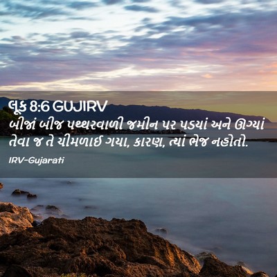 Picture 02 - લૂક 8:6 GUJIRV - બીજાં બીજ - Bible Verse Picture