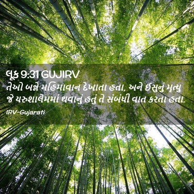 Picture 02 - લૂક 9:31 GUJIRV - તેઓ બન્ને - Bible Verse Picture