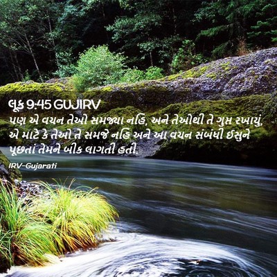Picture 02 - લૂક 9:45 GUJIRV - પણ એ વચન તેઓ સમજ્યા - Bible Verse Picture