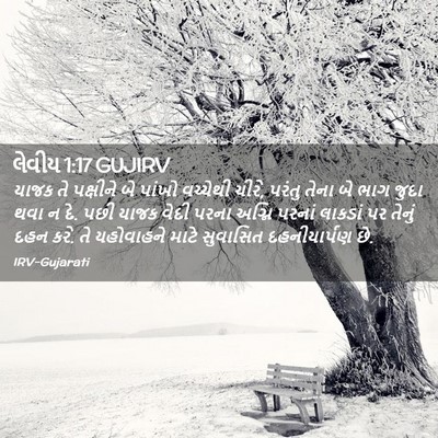 Picture 02 - લેવીય 1:17 GUJIRV - યાજક તે પક્ષીને બે - Bible Verse Picture