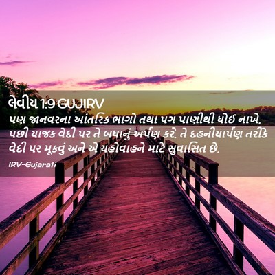 Picture 02 - લેવીય 1:9 GUJIRV - પણ જાનવરના આંતરિક - Bible Verse Picture