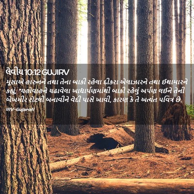 Picture 02 - લેવીય 10:12 GUJIRV - મૂસાએ હારુનને તથા - Bible Verse Picture