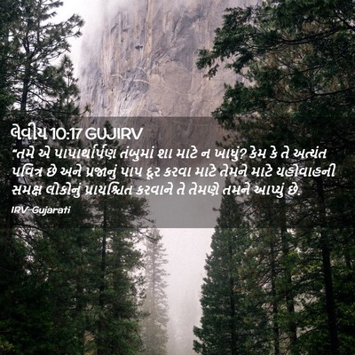 Picture 02 - લેવીય 10:17 GUJIRV - “તમે એ - Bible Verse Picture