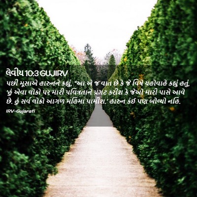 Picture 02 - લેવીય 10:3 GUJIRV - પછી મૂસાએ હારુનને - Bible Verse Picture