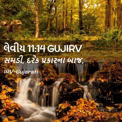 Picture 02 - લેવીય 11:14 GUJIRV - સમડી, દરેક - Bible Verse Picture