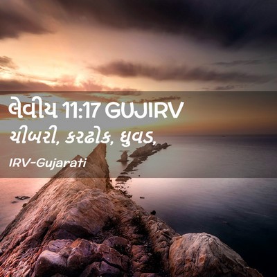 Picture 02 - લેવીય 11:17 GUJIRV - ચીબરી, કરઢોક, - Bible Verse Picture