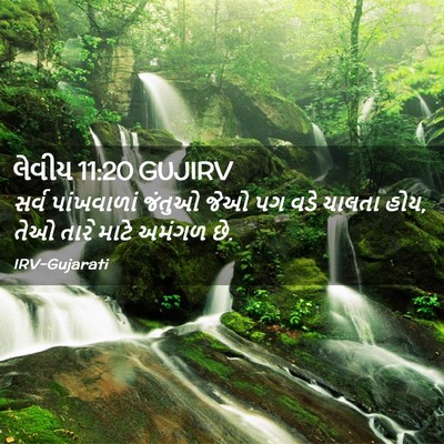 Picture 02 - લેવીય 11:20 GUJIRV - સર્વ પાંખવાળાં - Bible Verse Picture