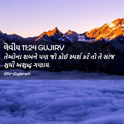 Picture 02 - લેવીય 11:24 GUJIRV - તેઓના શબને પણ જો - Bible Verse Picture
