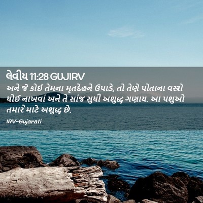 Picture 02 - લેવીય 11:28 GUJIRV - અને જે કોઈ તેમના - Bible Verse Picture