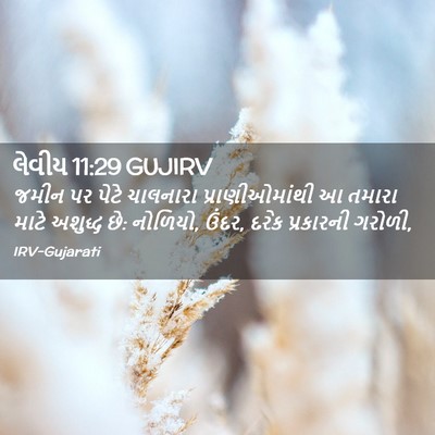 Picture 02 - લેવીય 11:29 GUJIRV - જમીન પર પેટે - Bible Verse Picture