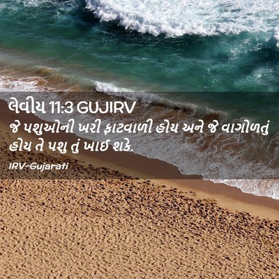 Picture 02 - લેવીય 11:3 GUJIRV - જે પશુઓની ખરી - Bible Verse Picture