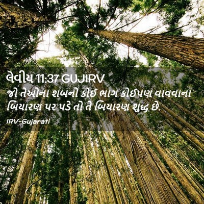 Picture 02 - લેવીય 11:37 GUJIRV - જો તેઓના શબનો કોઈ - Bible Verse Picture