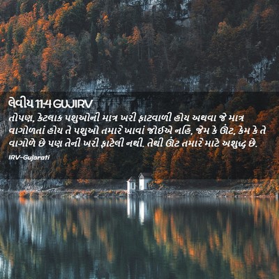 Picture 02 - લેવીય 11:4 GUJIRV - તોપણ, કેટલાક - Bible Verse Picture