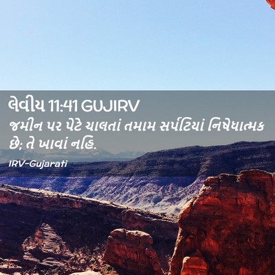 Picture 02 - લેવીય 11:41 GUJIRV - જમીન પર પેટે - Bible Verse Picture