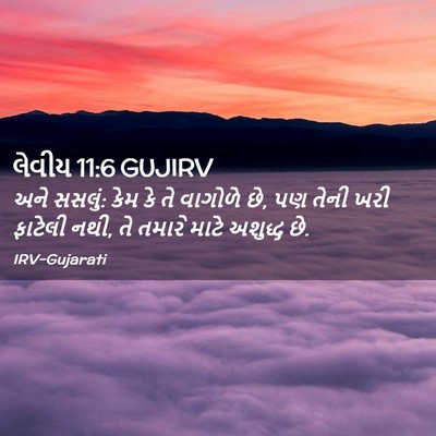 Picture 02 - લેવીય 11:6 GUJIRV - અને સસલું: કેમ કે - Bible Verse Picture