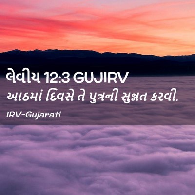 Picture 02 - લેવીય 12:3 GUJIRV - આઠમાં દિવસે તે - Bible Verse Picture