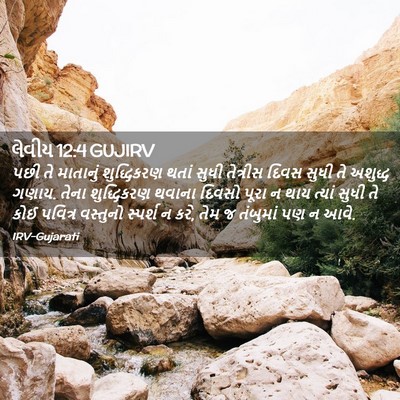 Picture 02 - લેવીય 12:4 GUJIRV - પછી તે માતાનું - Bible Verse Picture