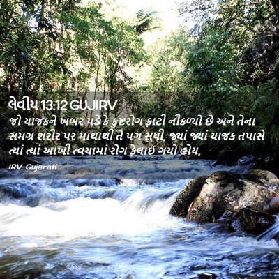 Picture 02 - લેવીય 13:12 GUJIRV - જો યાજકને ખબર પડે - Bible Verse Picture