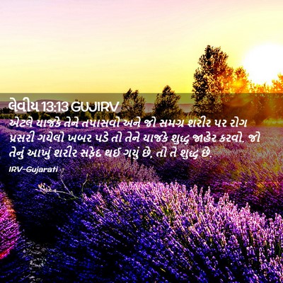 Picture 02 - લેવીય 13:13 GUJIRV - એટલે યાજકે તેને - Bible Verse Picture