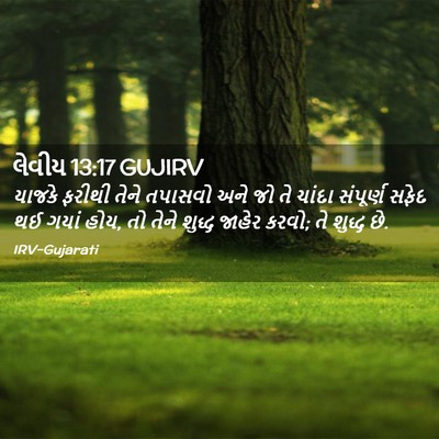 Picture 02 - લેવીય 13:17 GUJIRV - યાજકે ફરીથી તેને - Bible Verse Picture