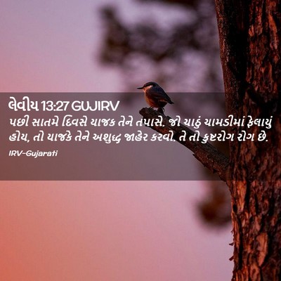 Picture 02 - લેવીય 13:27 GUJIRV - પછી સાતમે દિવસે - Bible Verse Picture