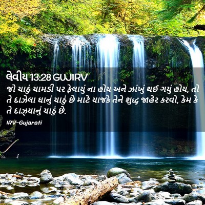 Picture 02 - લેવીય 13:28 GUJIRV - જો ચાઠું ચામડી પર - Bible Verse Picture