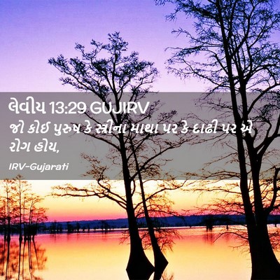Picture 02 - લેવીય 13:29 GUJIRV - જો કોઈ પુરુષ કે - Bible Verse Picture
