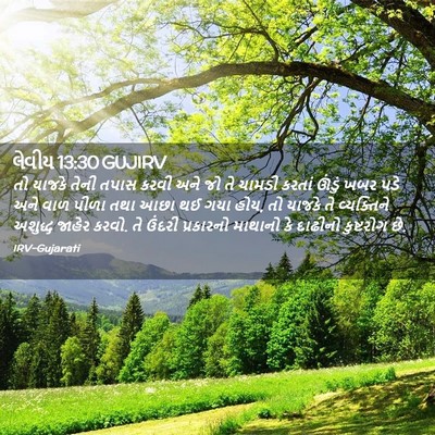 Picture 02 - લેવીય 13:30 GUJIRV - તો યાજકે તેની તપાસ - Bible Verse Picture
