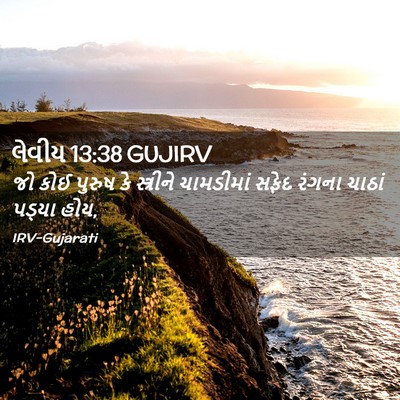 Picture 02 - લેવીય 13:38 GUJIRV - જો કોઈ પુરુષ કે - Bible Verse Picture