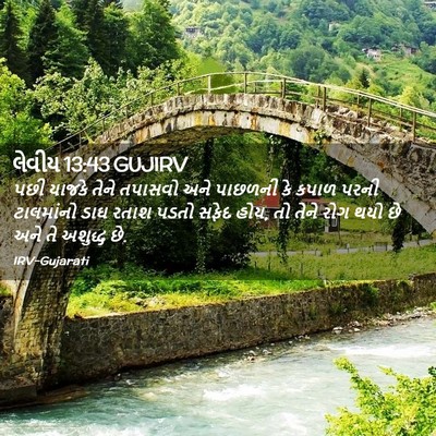 Picture 02 - લેવીય 13:43 GUJIRV - પછી યાજકે તેને - Bible Verse Picture