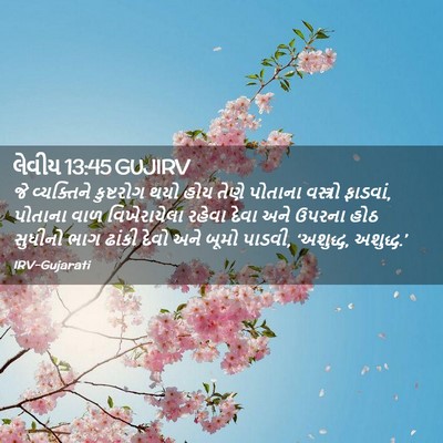 Picture 02 - લેવીય 13:45 GUJIRV - જે વ્યક્તિને - Bible Verse Picture