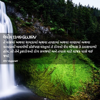 Picture 02 - લેવીય 13:49 GUJIRV - તે વસ્ત્રમાં અથવા - Bible Verse Picture