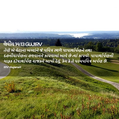 Picture 02 - લેવીય 14:13 GUJIRV - તેણે એ ઘેટાના - Bible Verse Picture