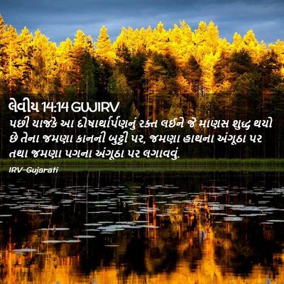 Picture 02 - લેવીય 14:14 GUJIRV - પછી યાજકે આ - Bible Verse Picture