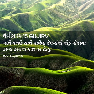 Picture 02 - લેવીય 14:15 GUJIRV - પછી યાજકે સાથે - Bible Verse Picture