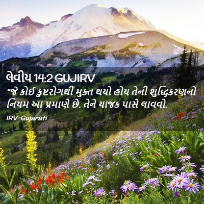 Picture 02 - લેવીય 14:2 GUJIRV - “જે કોઈ - Bible Verse Picture
