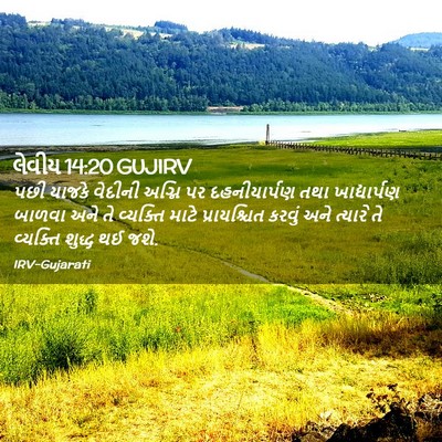 Picture 02 - લેવીય 14:20 GUJIRV - પછી યાજકે વેદીની - Bible Verse Picture
