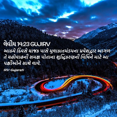 Picture 02 - લેવીય 14:23 GUJIRV - આઠમે દિવસે યાજક - Bible Verse Picture