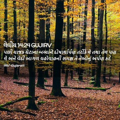 Picture 02 - લેવીય 14:24 GUJIRV - પછી યાજક ઘેટાનાં - Bible Verse Picture