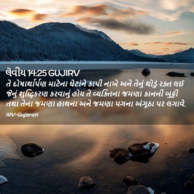 Picture 02 - લેવીય 14:25 GUJIRV - તે દોષાર્થાર્પણ - Bible Verse Picture
