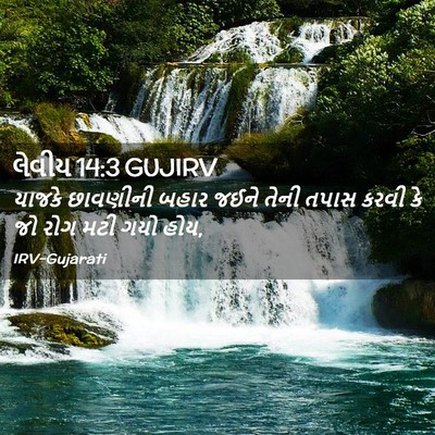 Picture 02 - લેવીય 14:3 GUJIRV - યાજકે છાવણીની - Bible Verse Picture