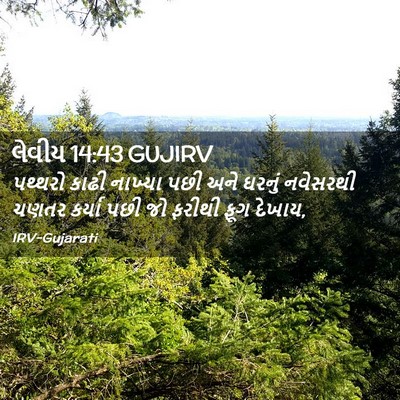 Picture 02 - લેવીય 14:43 GUJIRV - પથ્થરો કાઢી - Bible Verse Picture