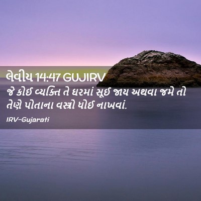 Picture 02 - લેવીય 14:47 GUJIRV - જે કોઈ વ્યક્તિ તે - Bible Verse Picture