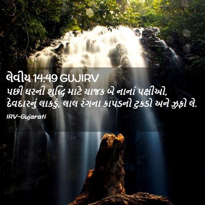 Picture 02 - લેવીય 14:49 GUJIRV - પછી ઘરની શુદ્ધિ - Bible Verse Picture