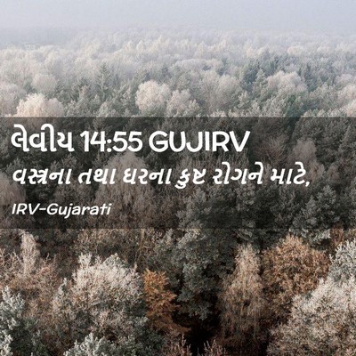 Picture 02 - લેવીય 14:55 GUJIRV - વસ્ત્રના તથા ઘરના - Bible Verse Picture