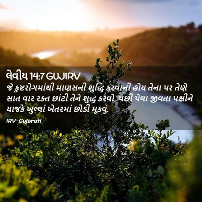 Picture 02 - લેવીય 14:7 GUJIRV - જે કુષ્ટરોગમાંથી - Bible Verse Picture