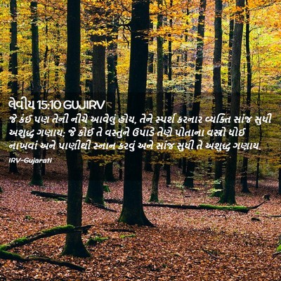 Picture 02 - લેવીય 15:10 GUJIRV - જે કંઈ પણ તેની નીચે - Bible Verse Picture