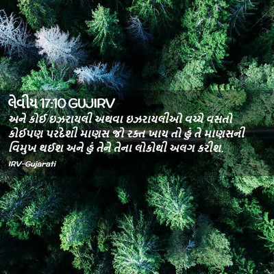 Picture 02 - લેવીય 17:10 GUJIRV - અને કોઈ ઇઝરાયલી - Bible Verse Picture
